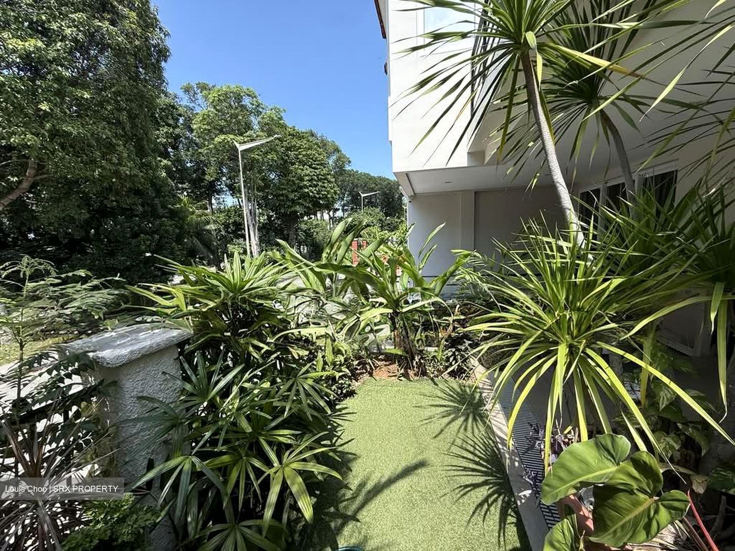 Tai Hwan Garden (D19), Terrace #565680781